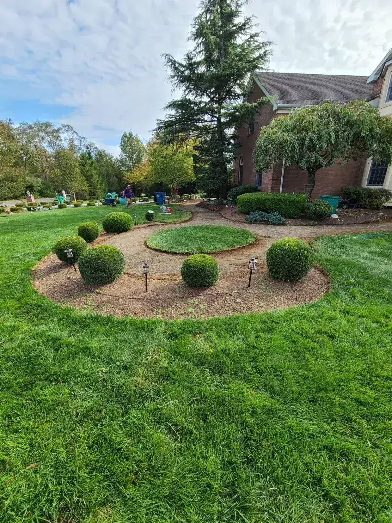 Front yard landscaping before