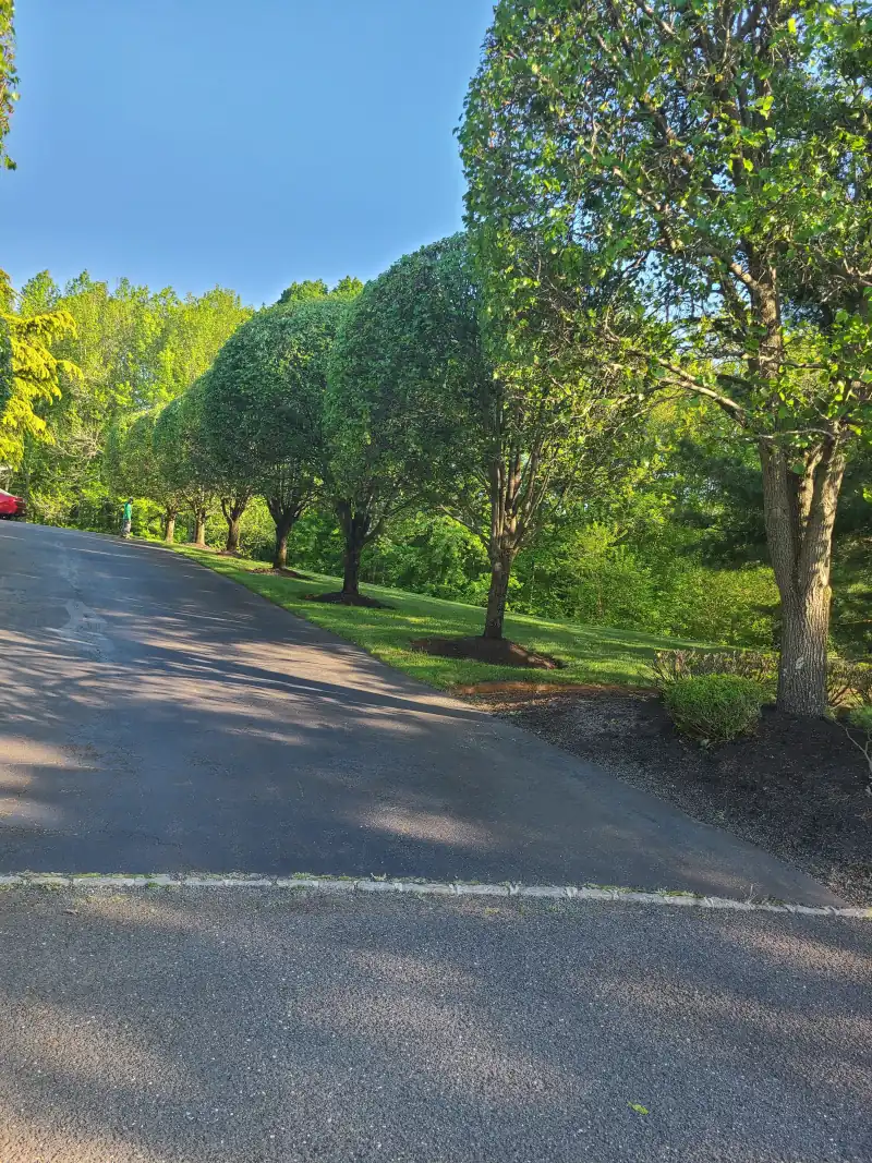 Landscaping project after