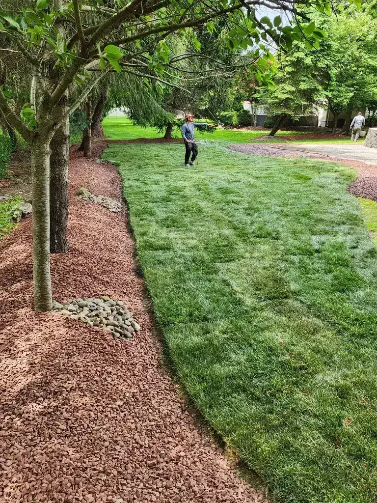 Tree Planting And Red-Stone Monmouth County NJ
